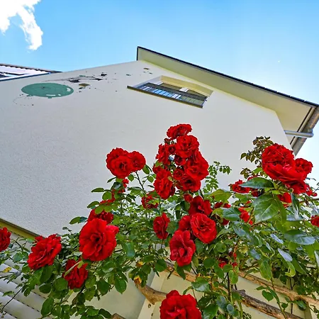Mit überdachtem Balkon 7 7 Og Apartment *