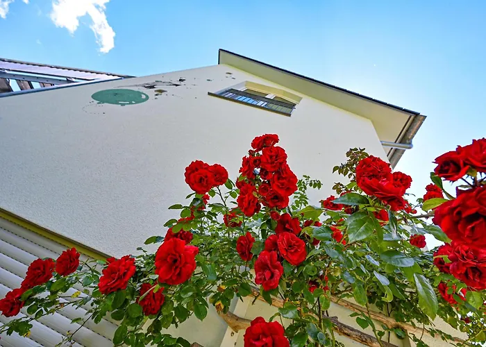 Mit Ueberdachtem Balkon 7 7 Og Apartament *